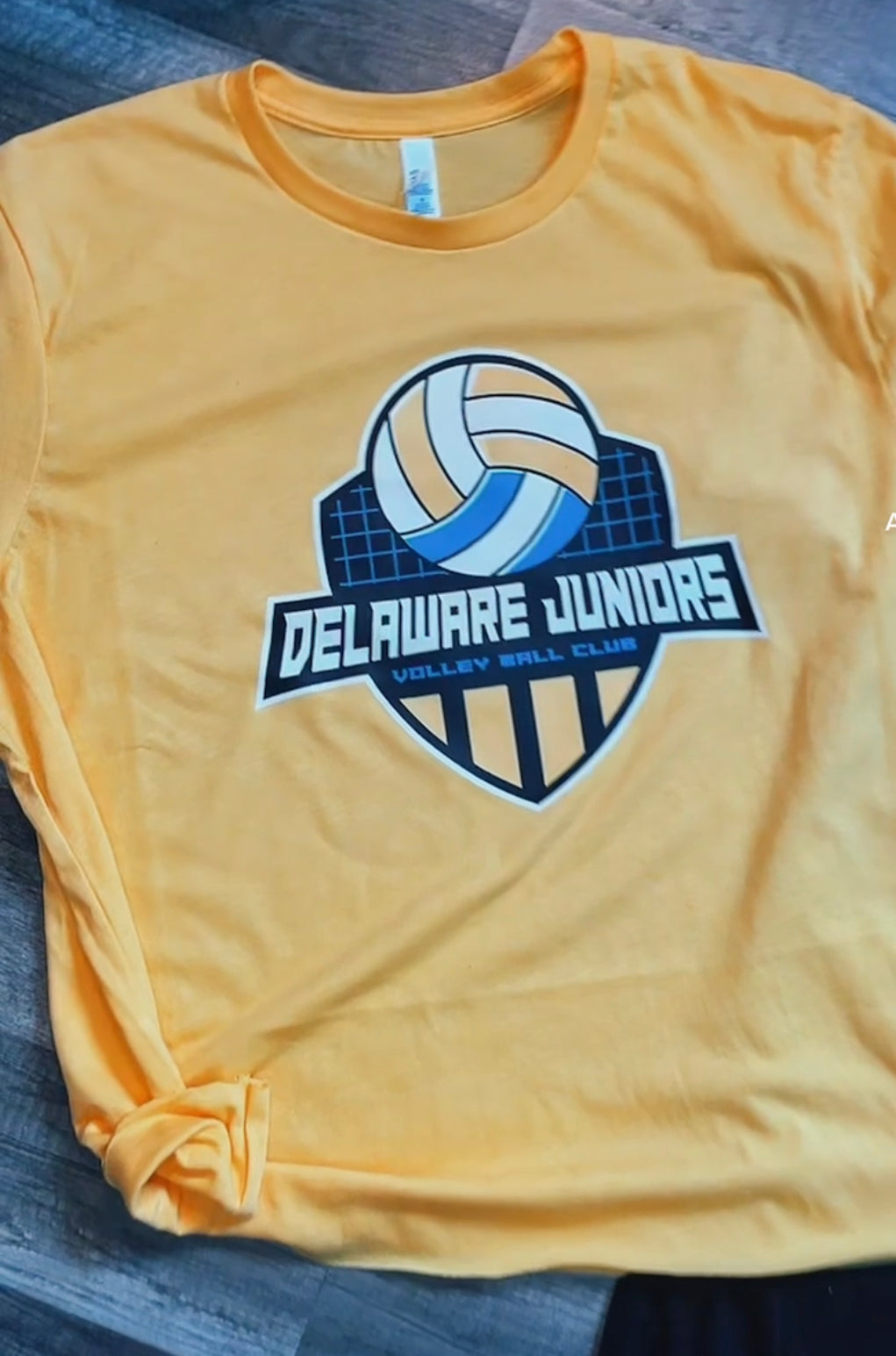 Delaware Juniors Logo Tee